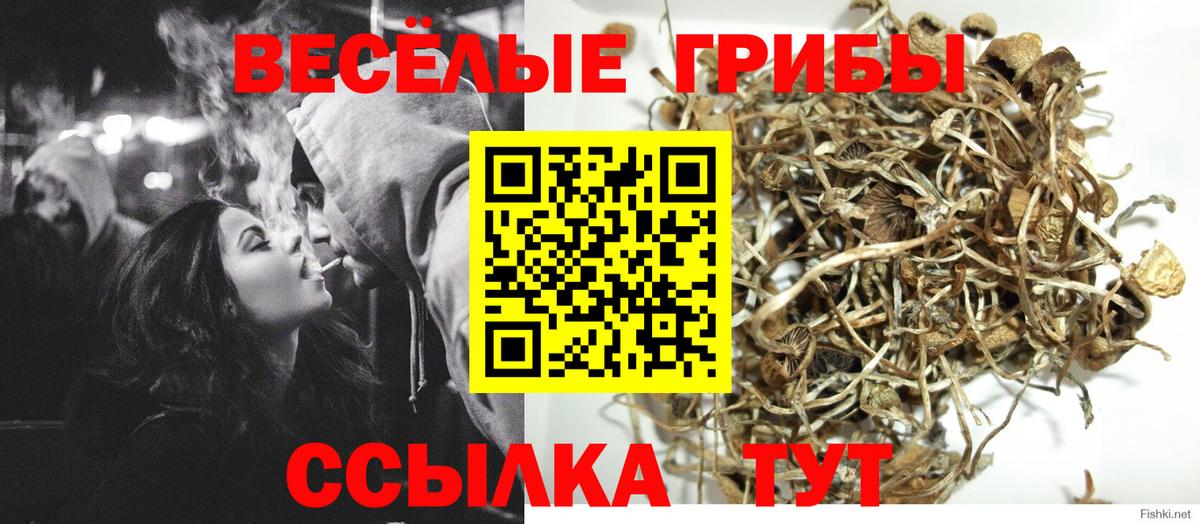 Чебоксары  Галлюциногенные грибы Magic Shrooms  Вход с VPN  Псилоцибиновые грибы Psilocybe 
